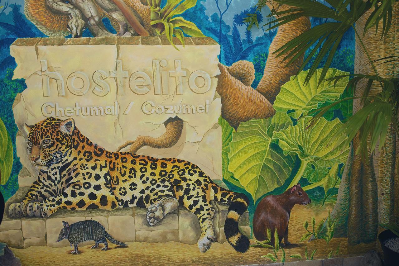 Hostelito Chetumal Hotel + Hostal Exteriér fotografie